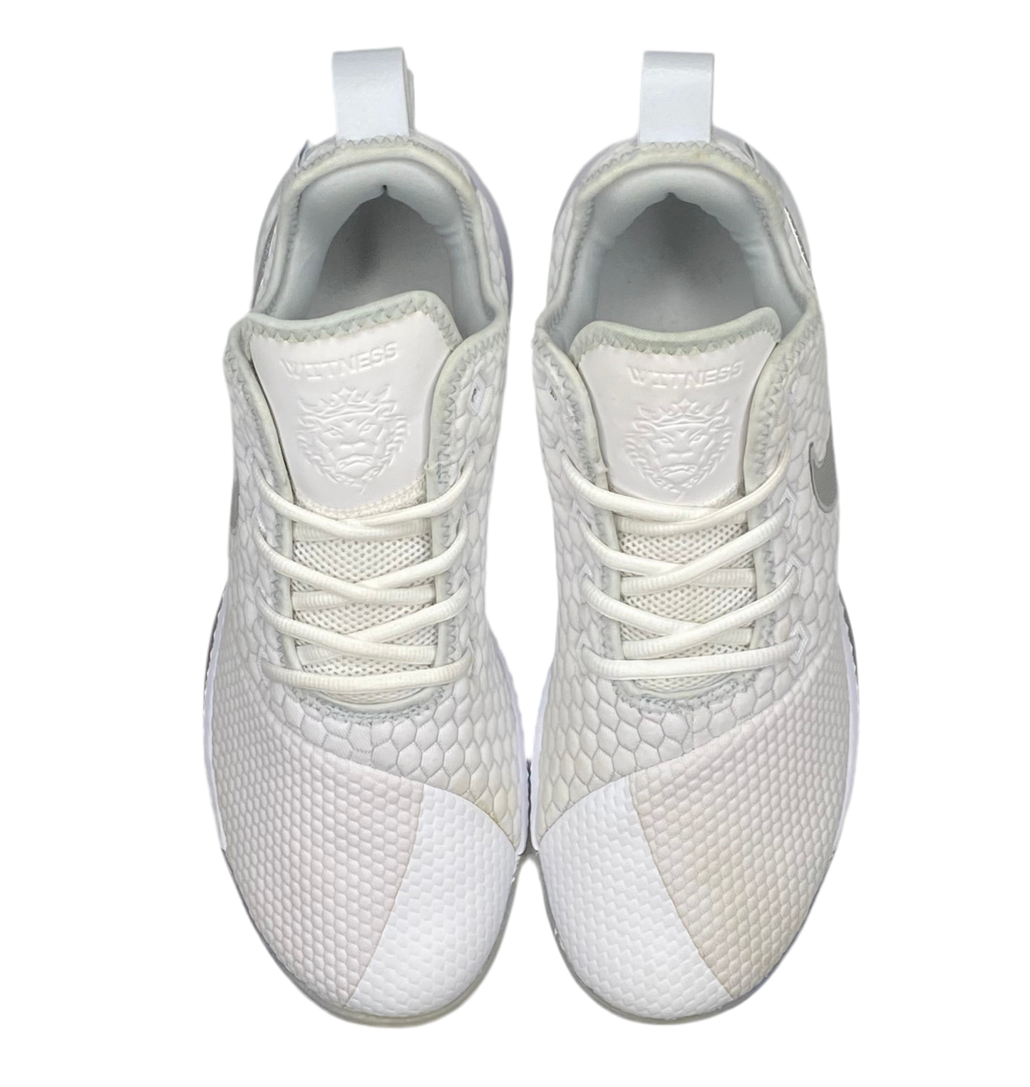 Lebron Witness 3