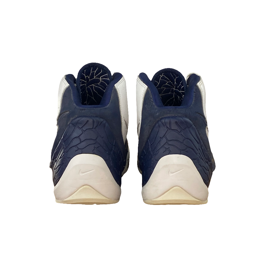 Nike Air Zoom Flight Dunk Hoop (43 BR)