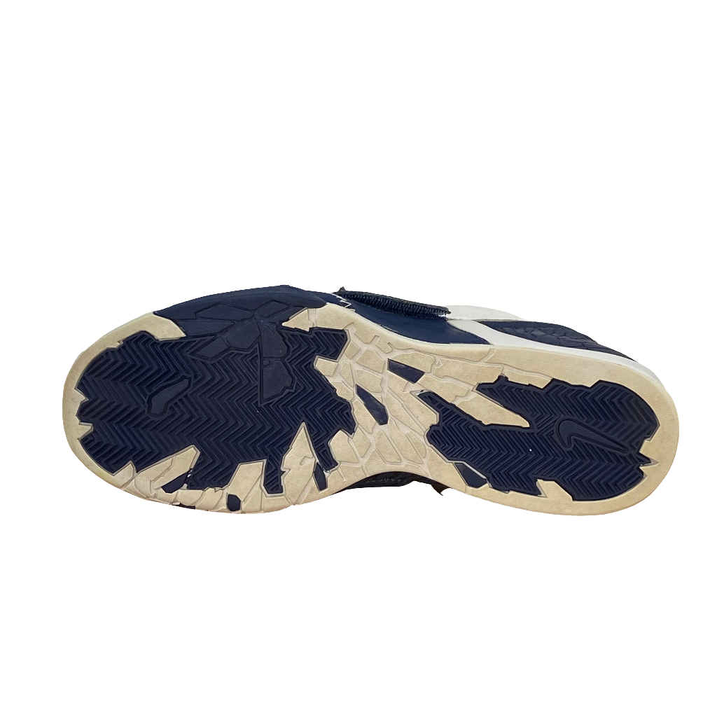 Nike Air Zoom Flight Dunk Hoop (43 BR)