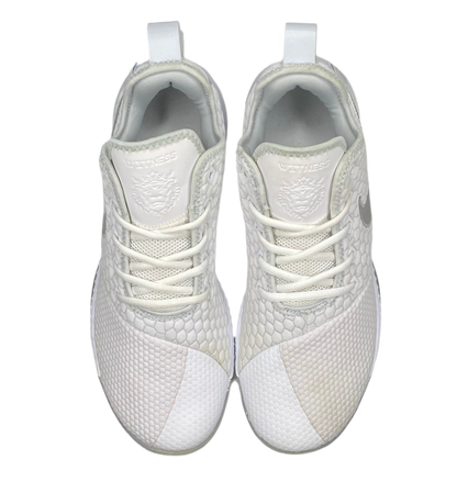 Lebron Witness 3