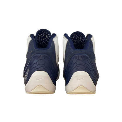 Nike Air Zoom Flight Dunk Hoop (43 BR)